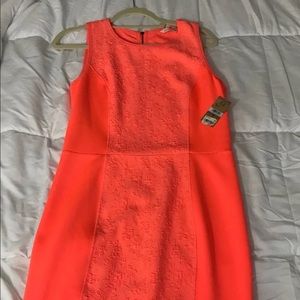 Rachel Roy Dress